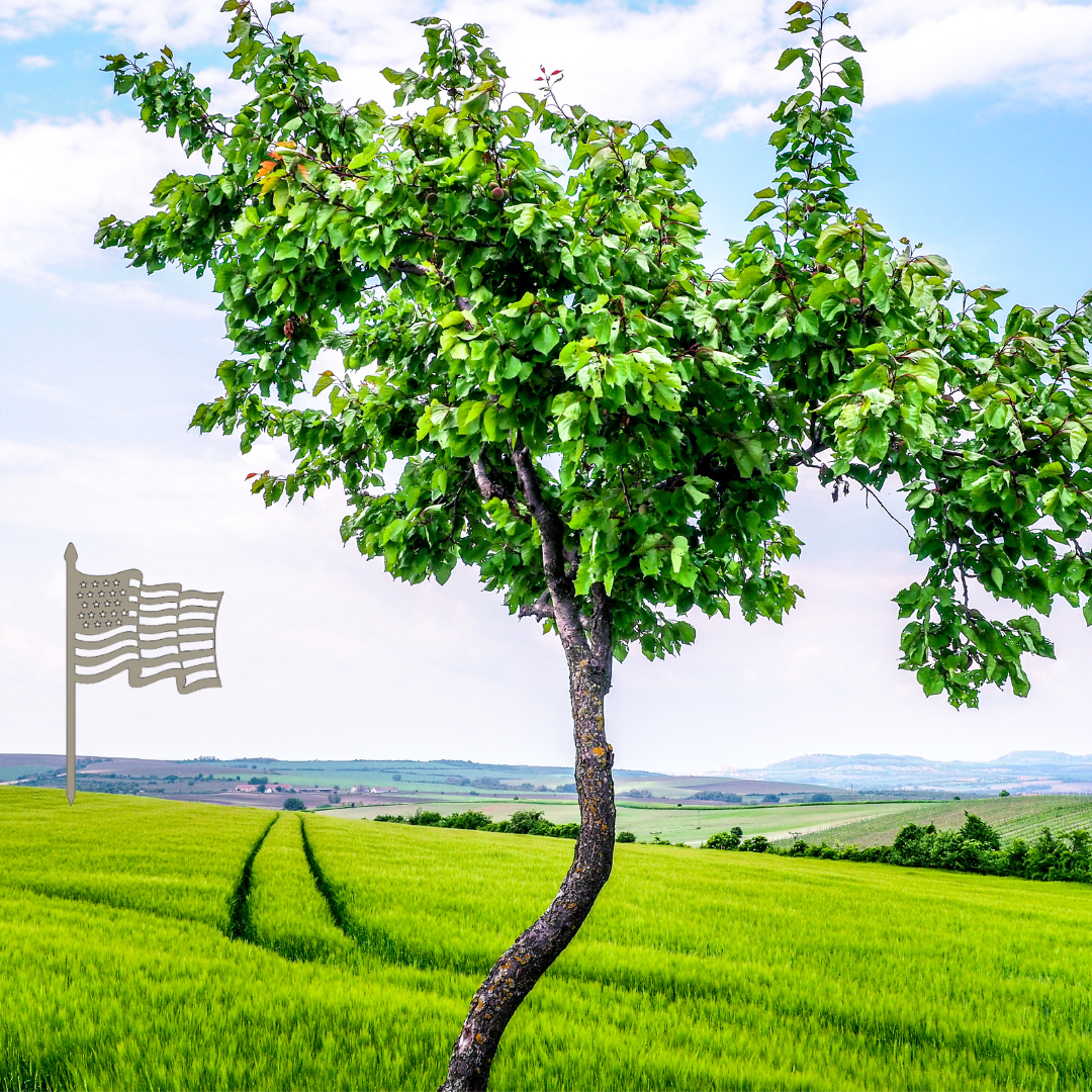 Tree Stake American Flag