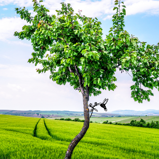 Hummingbird Tree Stake