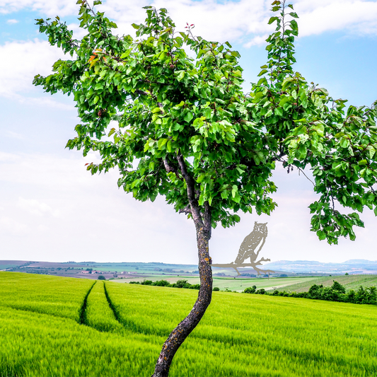 Owl Tree Stake